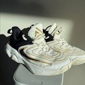 Nike Black and White Lebrons